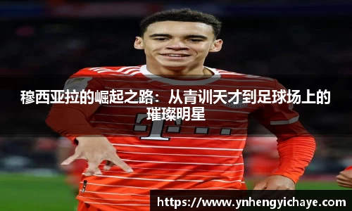 富邦娱乐